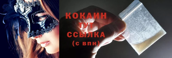 молекула духа Пересвет