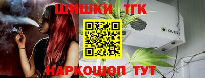 spice Камышлов