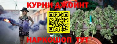spice Камышлов