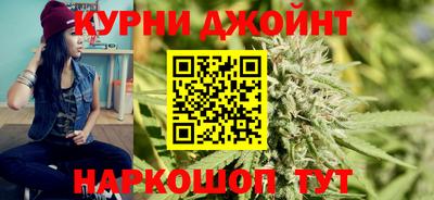 spice Камышлов