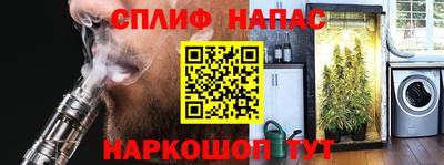 spice Камышлов
