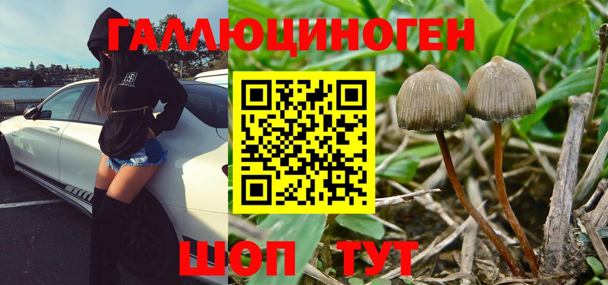 Галлюциногенные грибы Magic Shrooms Ртищево