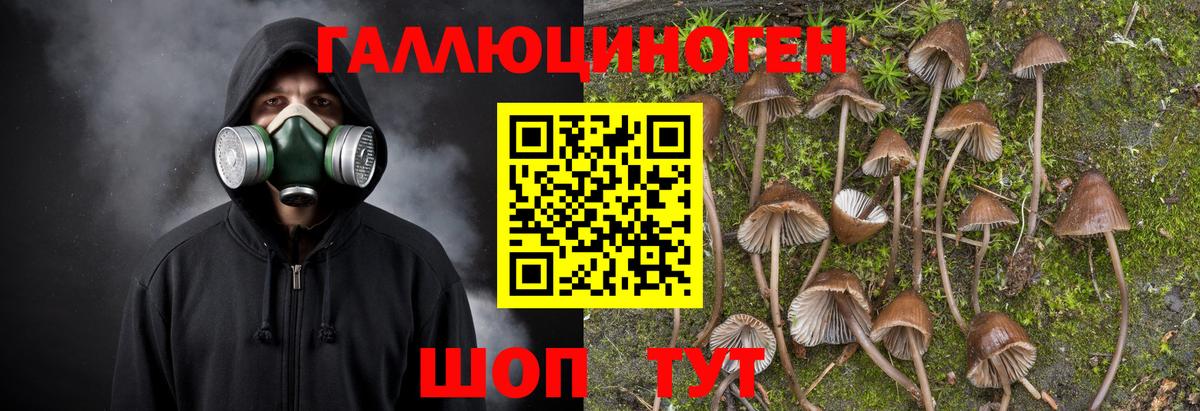 Ртищево  Псилоцибиновые грибы прущие грибы  Псилоцибиновые грибы GOLDEN TEACHER  Вход с VPN 
